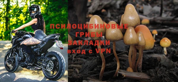синтетический гашиш Гусь-Хрустальный