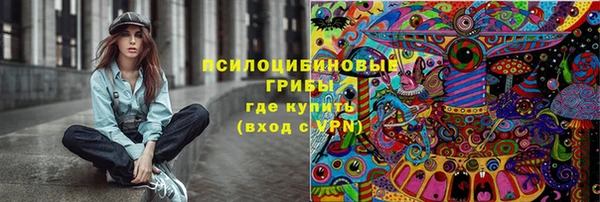 прущая мука Гусев