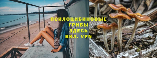 прущая мука Гусев