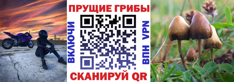 Галлюциногенные грибы мухоморы  Альметьевск 